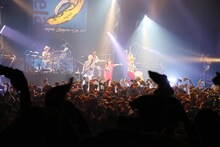 「angela 全力☆Live！ 2017」東京・新木場STUDIO COAST公演の様子。