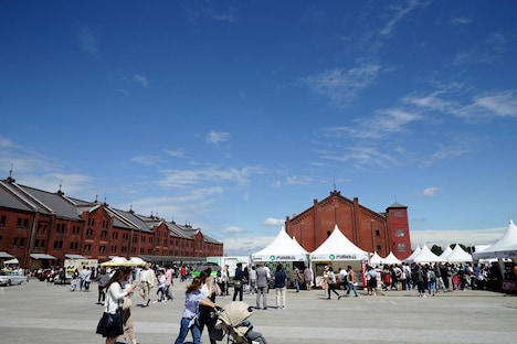 物販やフードコートが並び、クラシックカー展示やFMヨコハマのラジオ収録なども行われた開演前の赤レンガ倉庫。