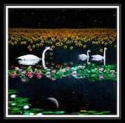 cali≠gari「回想、睡蓮と向日葵」狂信盤ジャケット