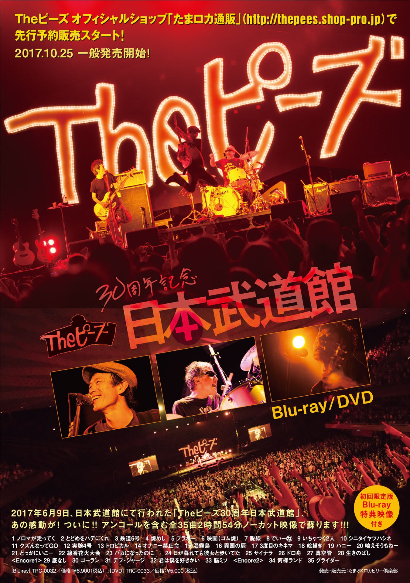 Theピーズ「Theピーズ30周年日本武道館」フライヤー