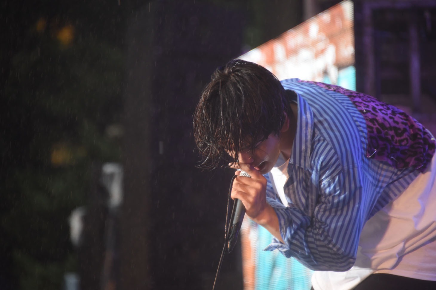 北村匠海