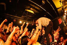 橋本学（Vo / ハルカミライ）（Photo by Shiraishi Tatsuya）