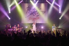 Shiggy Jr.「Shiggy Jr. LIVE TOUR 2017 -Ready Set 5!!-」東京・赤坂BLITZ公演の様子。（撮影：田中聖太郎写真事務所）