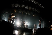 yonige（Photo by Viola Kam [V'z Twinkle]）