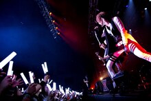 luz（撮影：堀卓朗、今田和也）