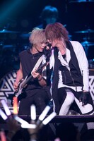 「XYZ TOUR 2017 -SUMMER-」最終公演の様子。（撮影：堀卓朗、今田和也）