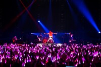 ピコ（撮影：堀卓朗、今田和也）