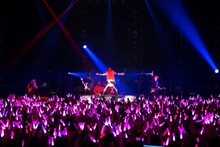 ピコ（撮影：堀卓朗、今田和也）