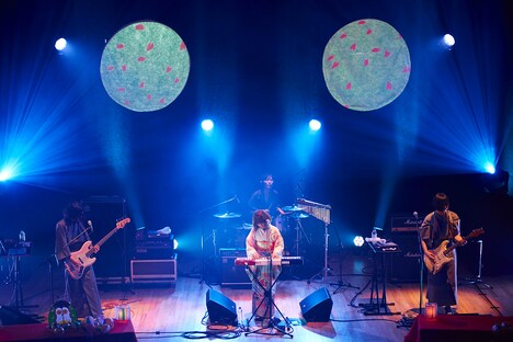 ふくろうず(撮影:中島未来)