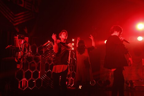 THE BEAT GARDEN（Photo by Yoshika Horita）