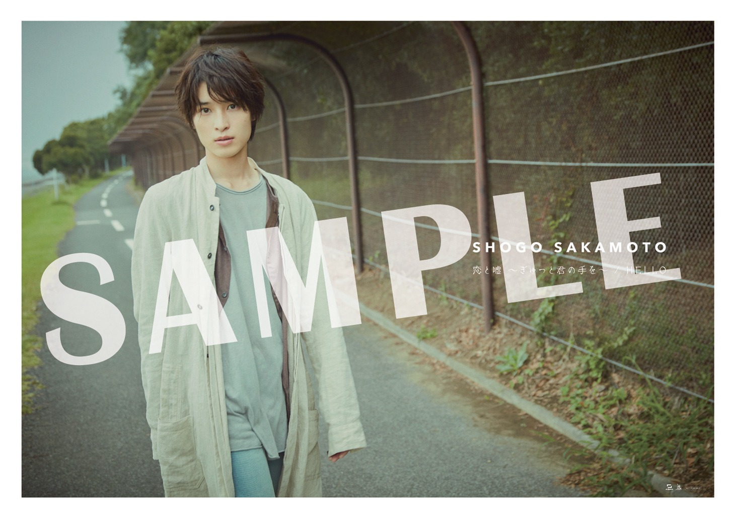 阪本奨悟「恋と嘘 ～ぎゅっと君の手を～ / HELLO」一般CDショップ購入者特典ポスターデザイン