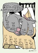 シャムキャッツがアジアツアー開催、各国のバンドと共演