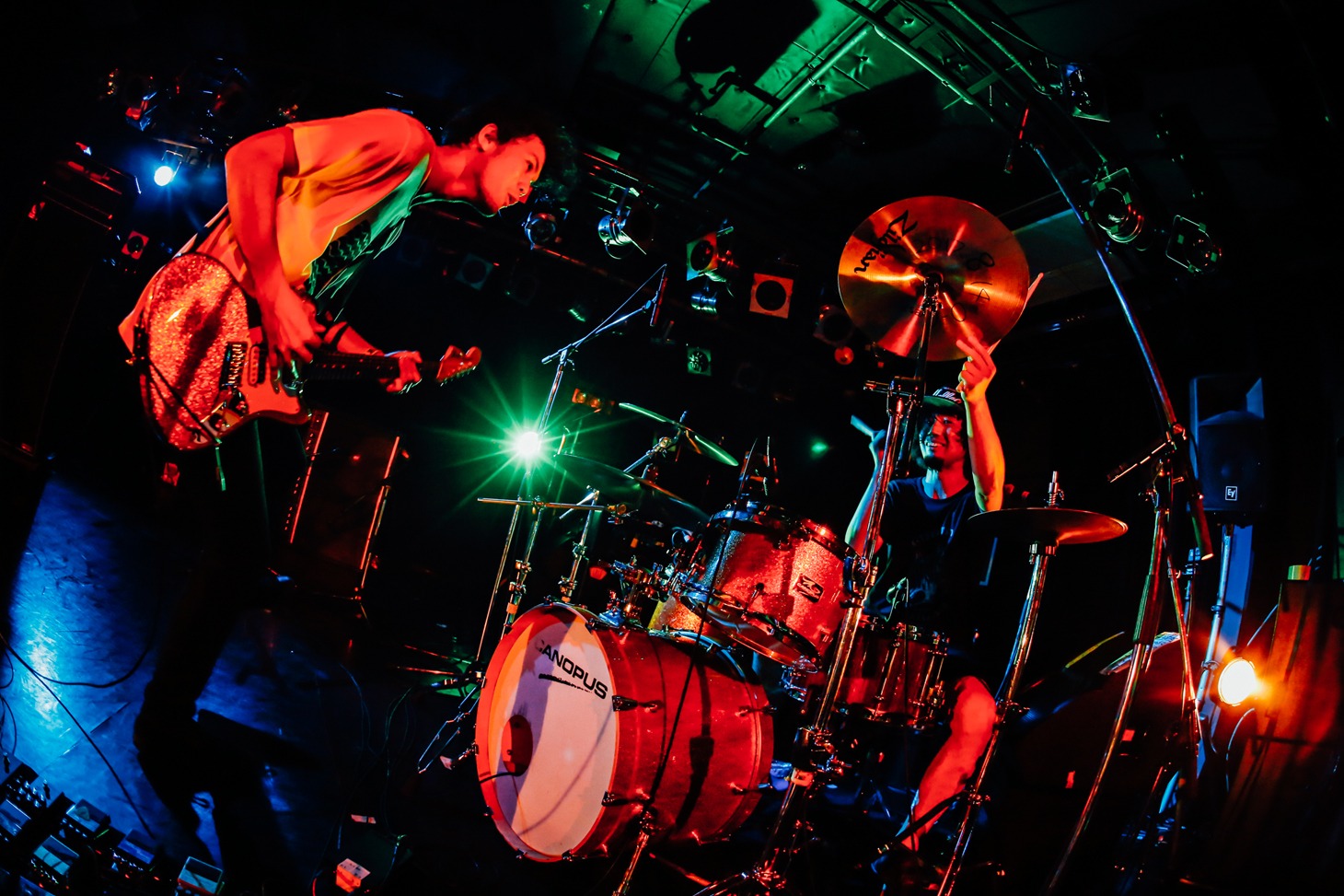 キツネツキ（撮影：西槇太一）