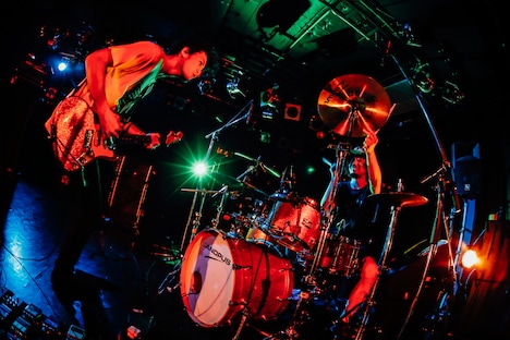 キツネツキ(撮影:西槇太一)