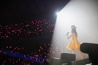 「20th Anniversary 田村ゆかり LOVE ▽ LIVE2017 *Crescendo ▽ Carol*」1日目の様子。（撮影：荒金大介）
