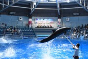 スペシャルパフォーマンスの様子。
