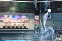 スペシャルパフォーマンスの様子。