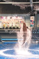 スペシャルパフォーマンスの様子。