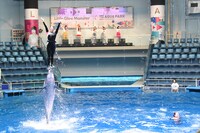 スペシャルパフォーマンスの様子。