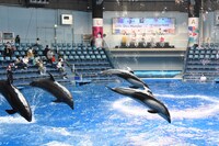 スペシャルパフォーマンスの様子。