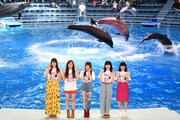 Little Glee Monster