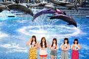 Little Glee Monster