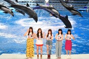 Little Glee Monster