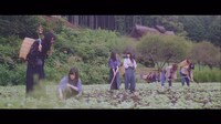 乃木坂46「僕の衝動」ミュージックビデオより。