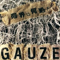 GAUZE「限界は何処だ」ジャケット