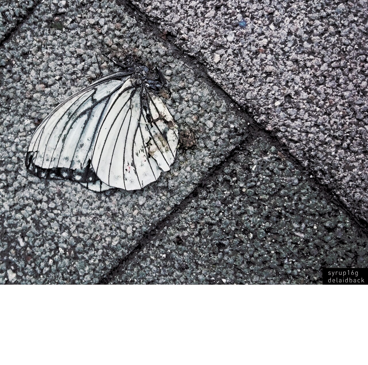 syrup16g未音源化楽曲13曲を収録、ニューアルバム「delaidback」