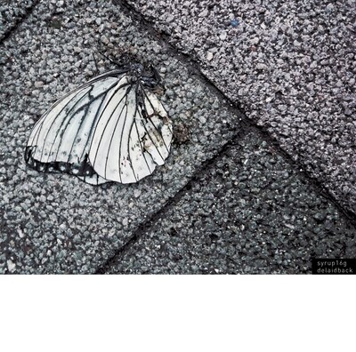 syrup16g「delaidback」ジャケット