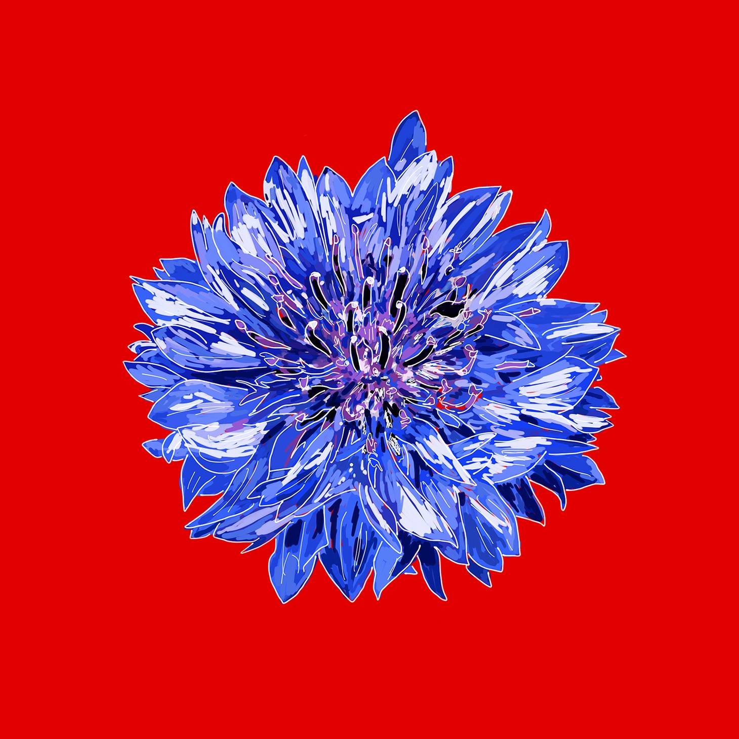 The Mirraz「ヤグルマギク」ジャケット