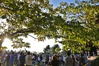 「NEGi FES 2017 in 新潟・北方文化博物館」2日目の様子。