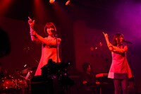 バニラビーンズ