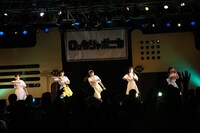 ロッカジャポニカ（撮影：笹森健一）