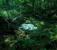 藤原ヒロシ「slumbers」ジャケット