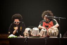 レキシとニセレキシ（U-zhaan）。（撮影：田中聖太郎）