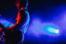 ひばりくん（G / 女王蜂）（撮影：西槇太一）