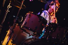 ルリちゃん（Dr / 女王蜂）（撮影：西槇太一）