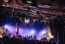 女王蜂（撮影：西槇太一）