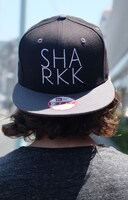 SHARKK「BE THAT WAY」カセットテープ版ジャケット