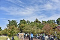 のどかな会場内の様子。