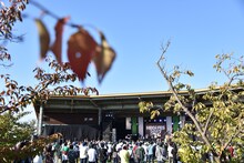 THE MICETEETHによるライブの様子。