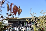 THE MICETEETHによるライブの様子。