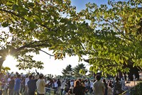 Negiccoのライブで盛り上がる会場の様子。