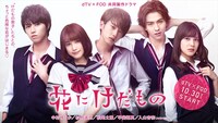 「花にけだもの」メインビジュアル (c)エイベックス通信放送/フジテレビジョン