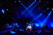 銀杏BOYZの東京・日本武道館単独公演「日本の銀杏好きの集まり」の様子。(撮影:村井香)