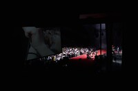 銀杏BOYZの東京・日本武道館単独公演「日本の銀杏好きの集まり」の様子。（撮影：村井香）