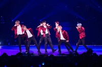 「2017 BTS LIVE TRILOGY EPISODE III THE WINGS TOUR IN JAPAN ～SPECIAL EDITION～」の様子。(c)Big Hit Entertainment
