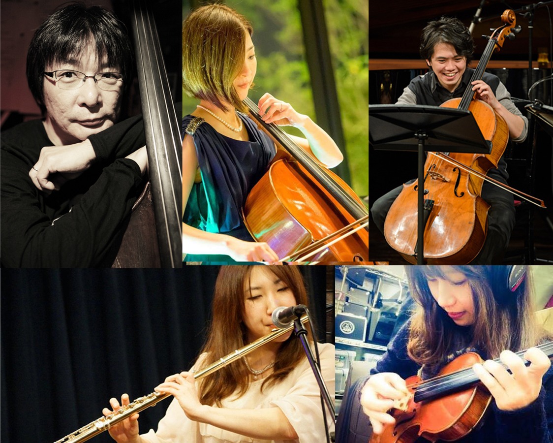 phonolite strings